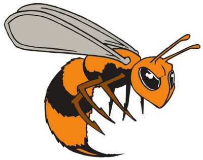 AR BEE 34 RC
