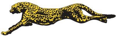 AR CHEETAH 12 RC