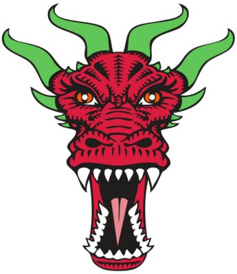 BAW DRAGON 09 RC