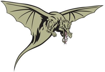 BAW DRAGON 12 RC