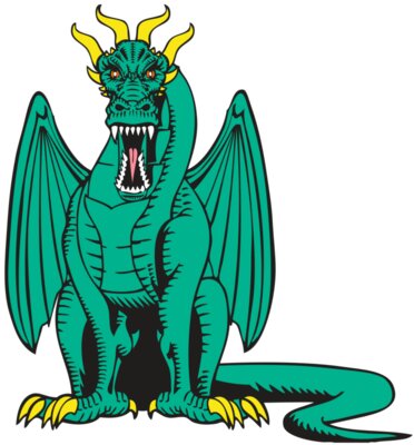 BAW DRAGON 10 RC
