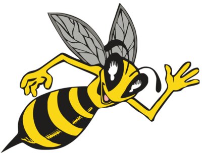BAW BEE 12 RC