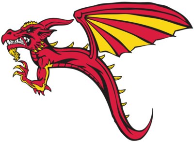 BAW DRAGON 02 RC