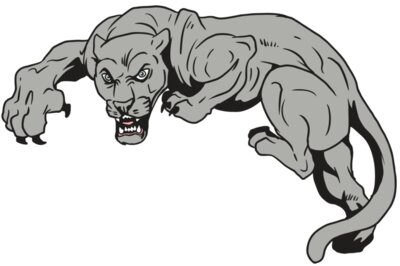 AR10 PANTHER 02 RQC