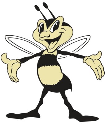 AR BEE 16 RC