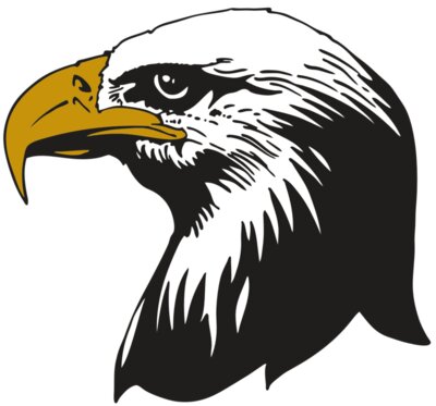 AR EAGLE 87 RC