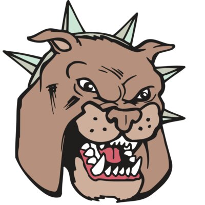 AR BDOG 40 RC