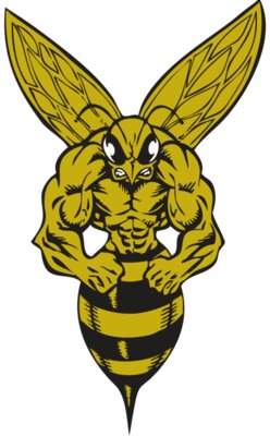 BAW BEE 06 RC