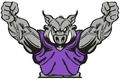 AR RAZORBACK 10 RC