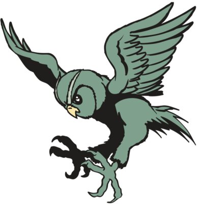 AR OWL 15 RC