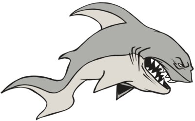 AR5 Shark 10 RQC