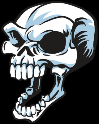 AR24 SKULL 15 RQC