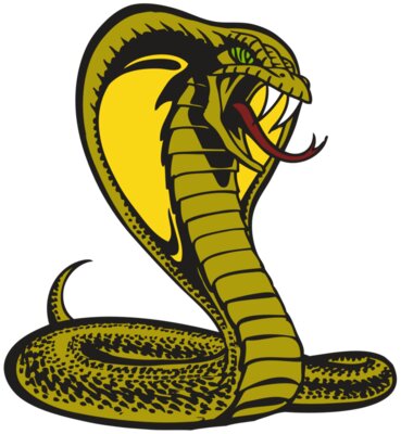 BAW SNAKE 02 RC