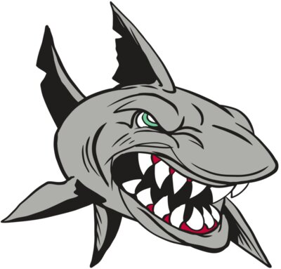 AR4 SHARK 01 RQC
