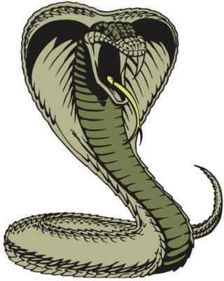 BAW SNAKE 07 RC