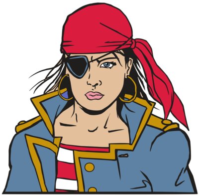 AR33 PIRATE 12 RQC