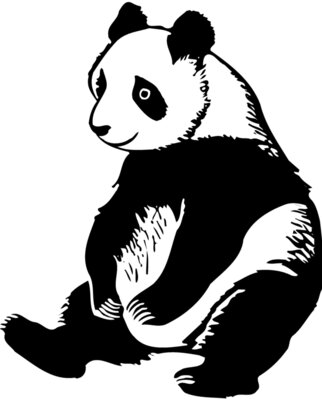 BEAR008