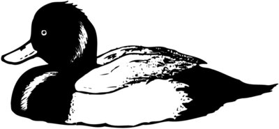 BIRD103