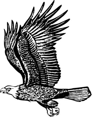 EAGLE012