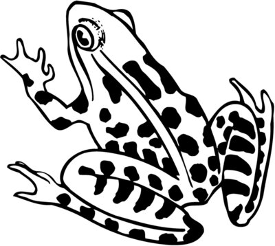 FROG01