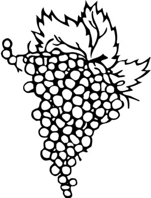 FRUIT004